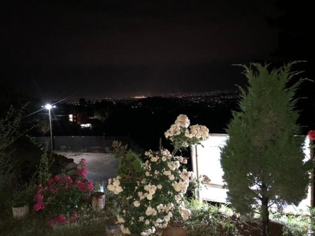 Nayagaun Village Resort 나가르코트 외부 사진